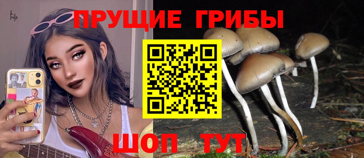 Псилоцибиновые грибы мухоморы Ставрополь