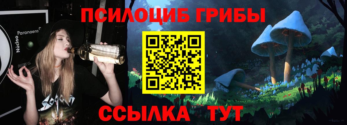 Псилоцибиновые грибы GOLDEN TEACHER  Вход с VPN  Галлюциногенные грибы MAGIC MUSHROOMS  Ставрополь 